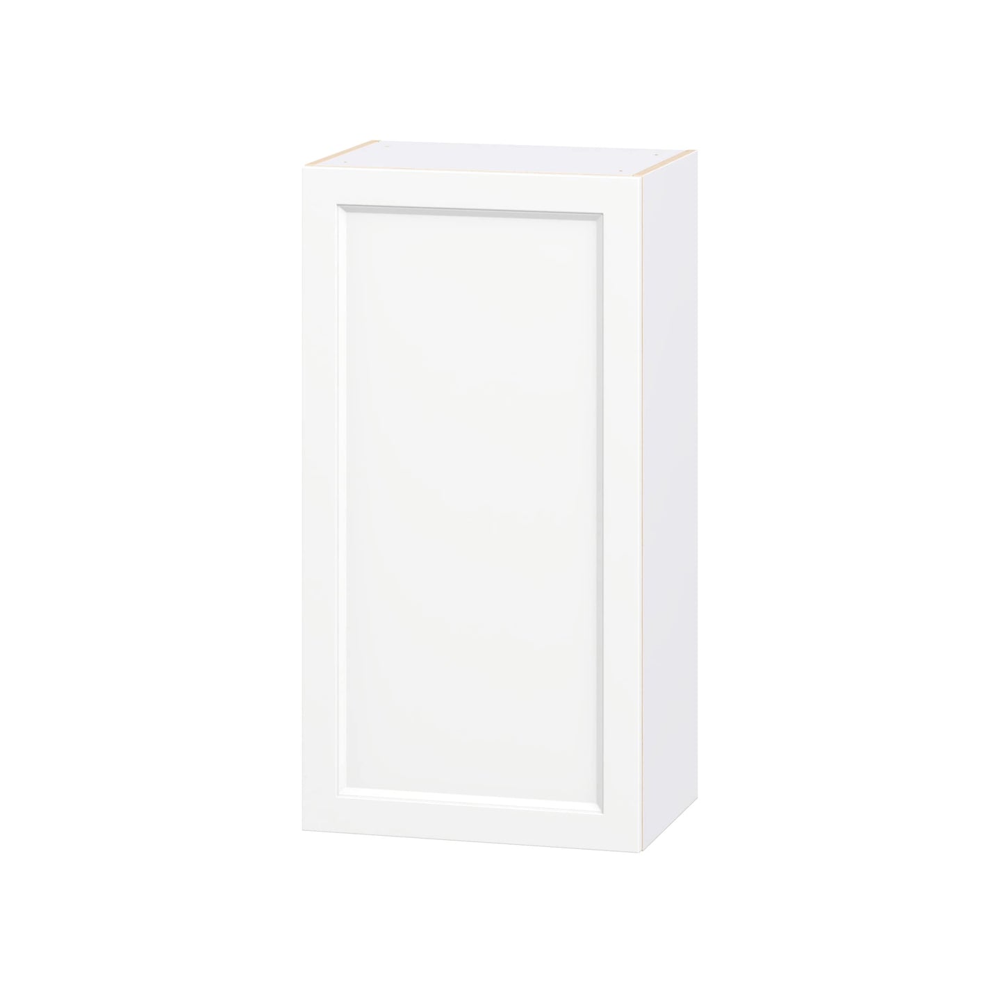 Hugo&Borg Riviera 21-in W x 40-in H x 14-in D Bright White Wall Fully assembled Cabinet Recessed Panel
