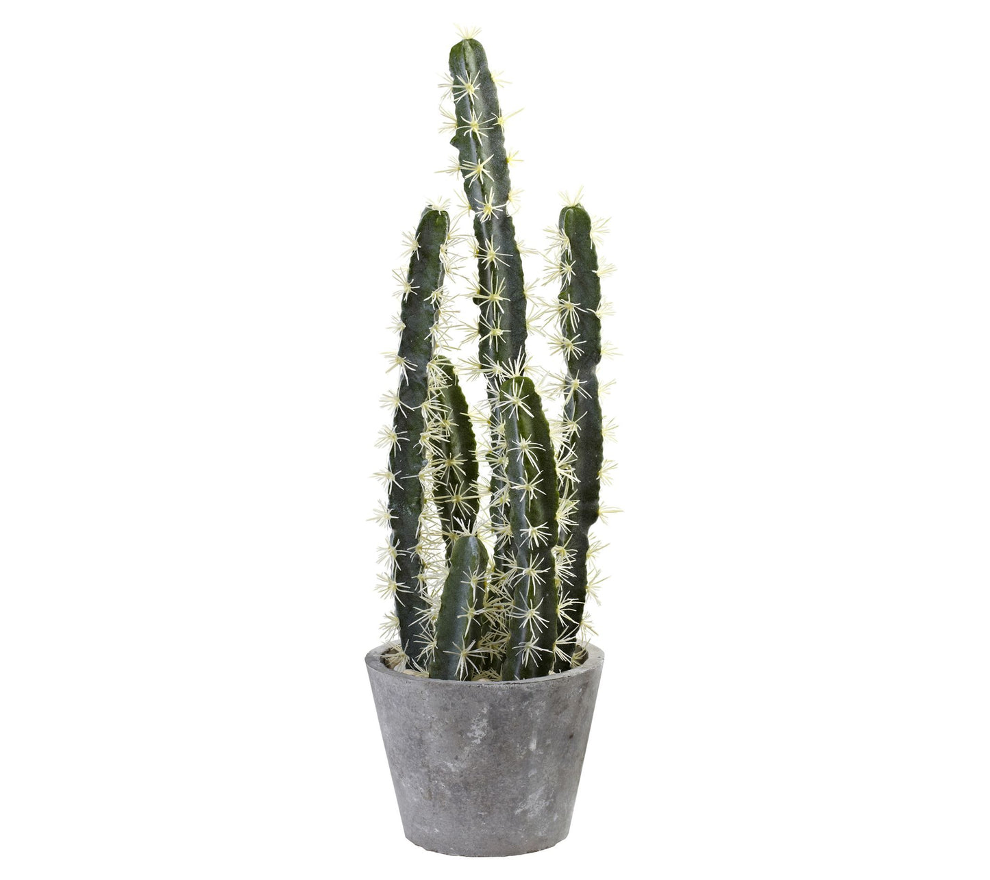 Decorative Cactus Garden w/Cement Planter by Nearly Natural