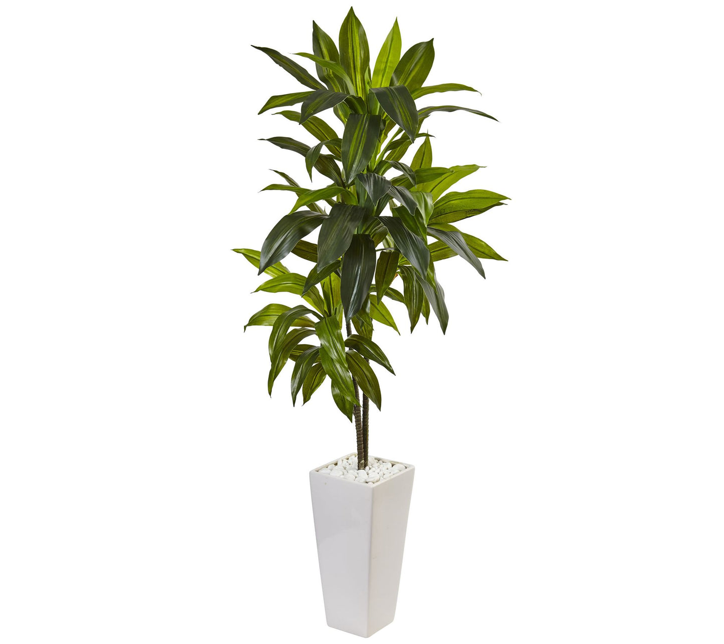 3' Dracaena Plant in Tower Planter by Nearly Natural