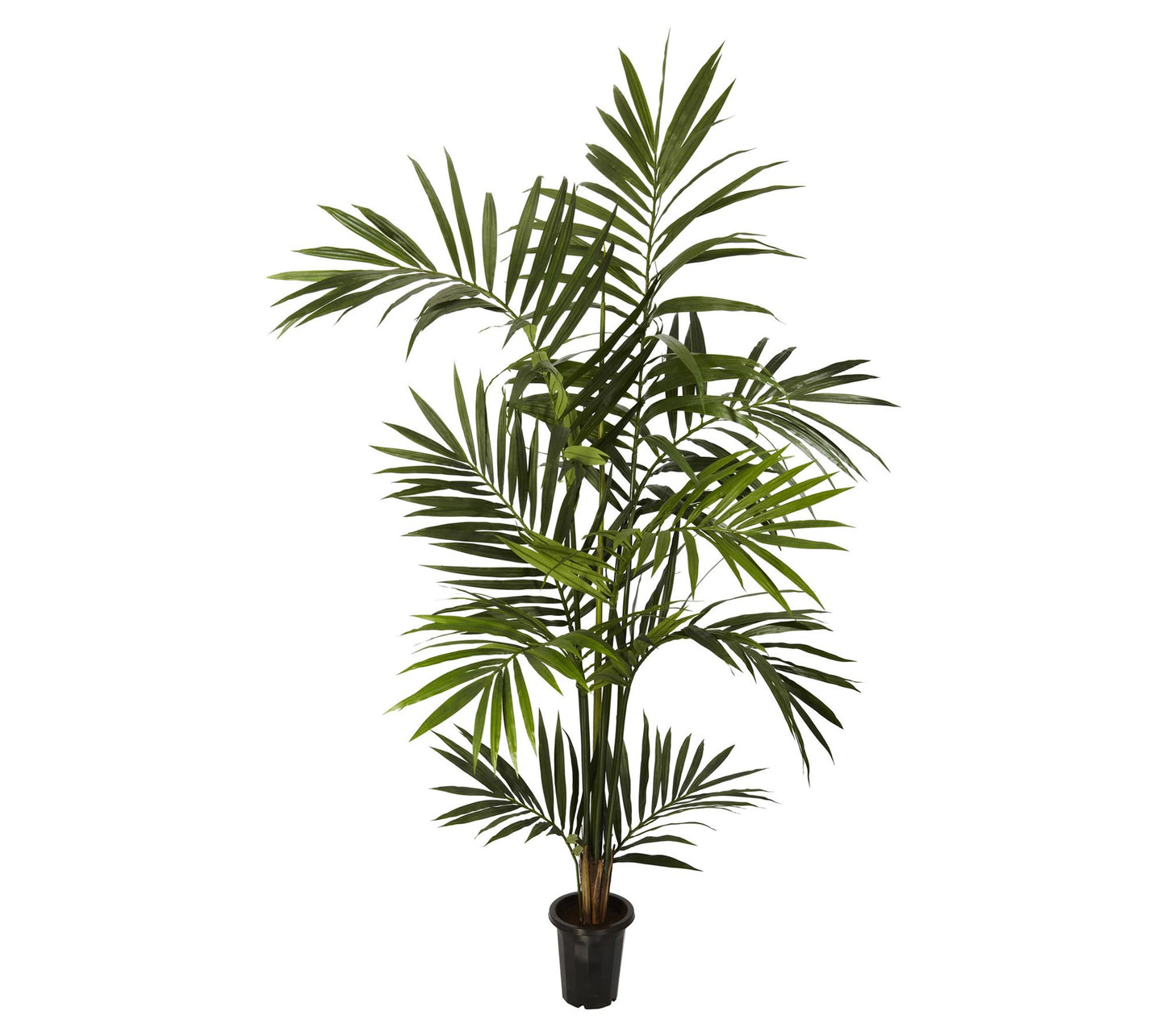 6' Kenitia Palm Silk Tree by Nearly Natural