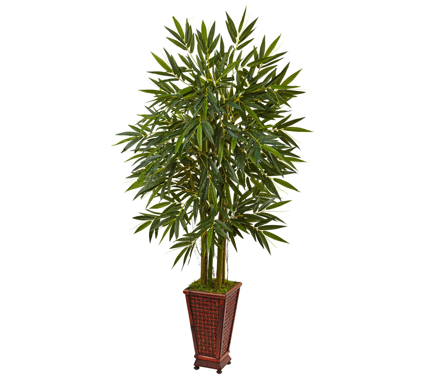 5.5' Bamboo Tree in Decorative Planter by Nearly Natural