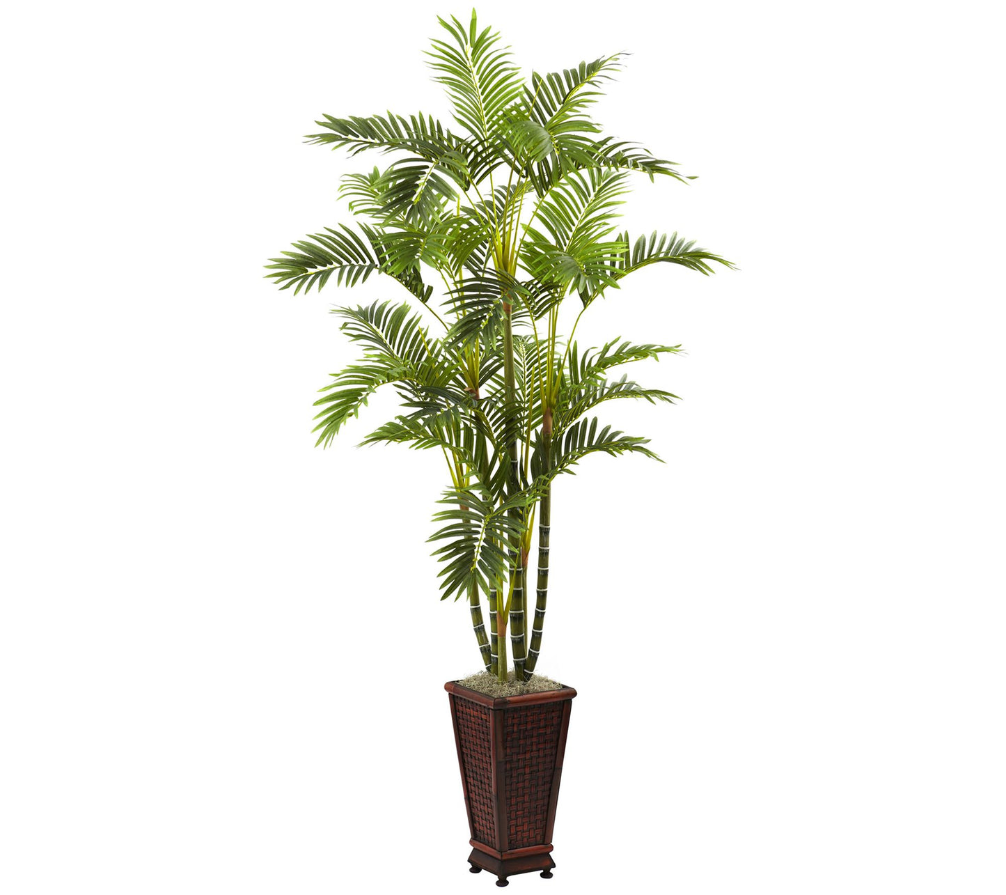 6.5' Areca with Decorative Planter by Nearly Natural