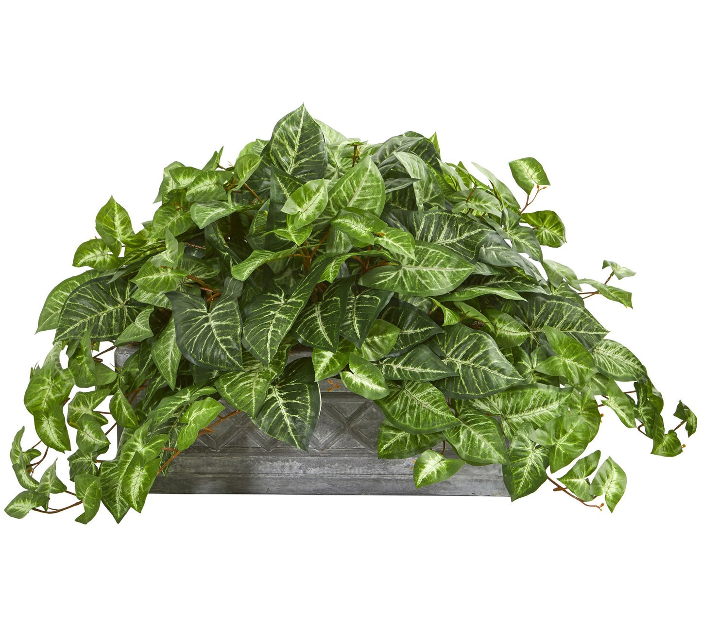 18" Nepthytis Plant in Stone Planter by Nearlyatural