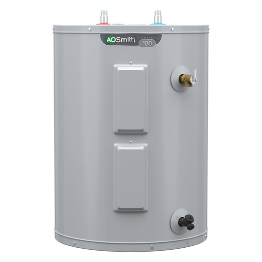 A.O. Smith Signature 100 28-Gallons Lowboy 6-year Warranty 4500-Watt Double Element Electric Water Heater with Insulation Blanket
