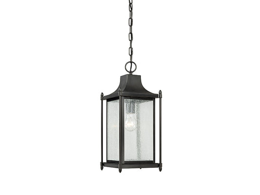 Savoy House Dunnmore 1-Light Outdoor Hanging Lantern in Black Black Transitional Clear glass Lantern Mini Outdoor Hanging Pendant light