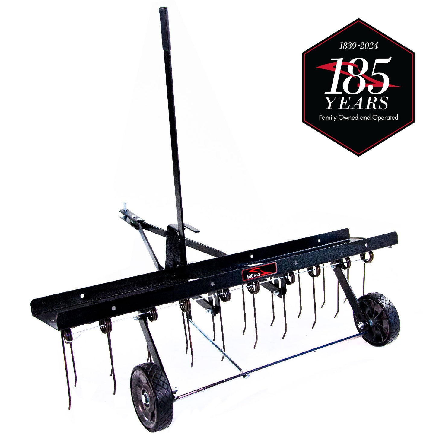 Brinly 40-Inch Tow-Behind Dethatcher with Adjustable Tine Depth and Replaceable Tines, Steel Frame, Pneumatic Wheels DT2-40BH-G