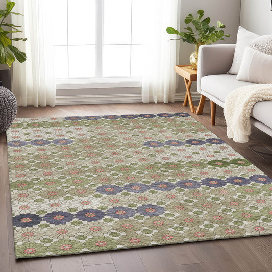 Addison Rugs Chantille ACN1678AL 9 x 12 (ft) Loomed Aloe Rectangular Indoor/Outdoor Machine washable Pet Friendly Area rug