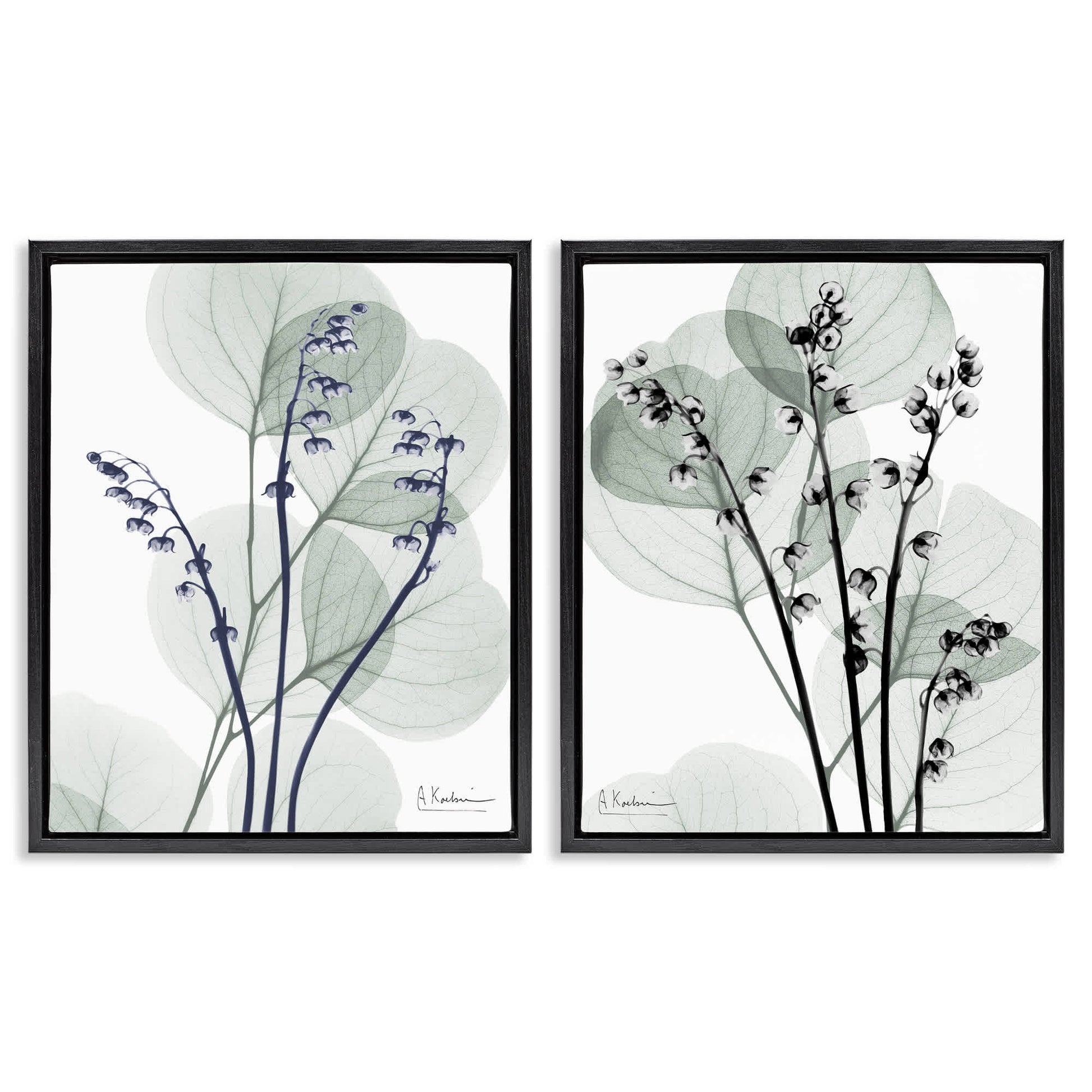 Stupell Industries  Future Dusk Opaque Herbs 2pc Floating Frame Set Design by Albert Koetsier