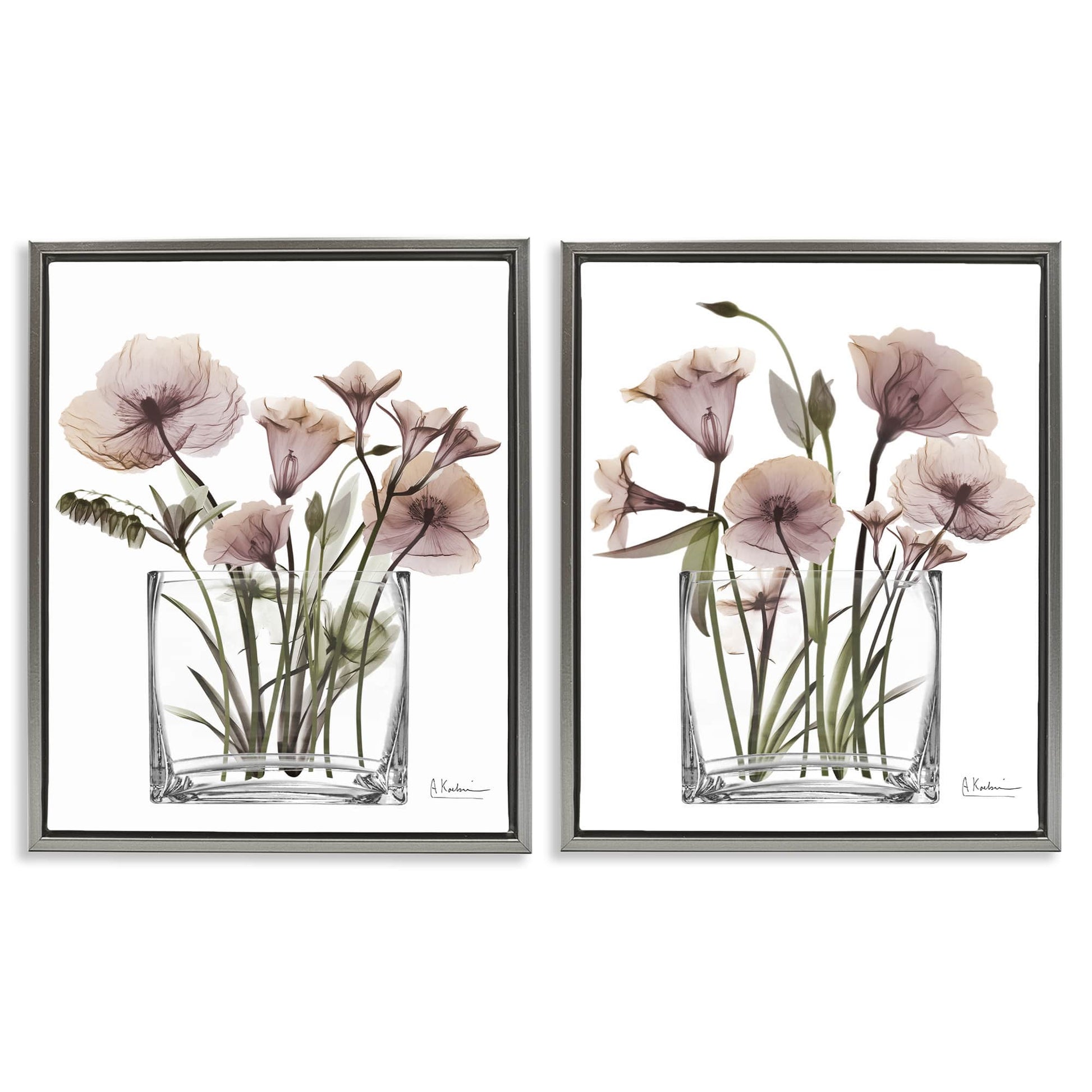 Stupell Industries  Earthy Infatuation Bouquet 2pc Floating Frame Set Design by Albert Koetsier