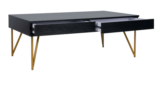 SAFAVIEH Pine Modern Solid Two-Drawer Coffee Table, Black/Gold