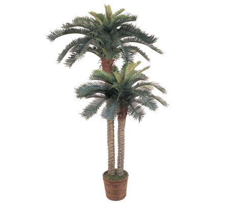6' & 4' Sago Palm Double Potted Tree by NearlyNatural