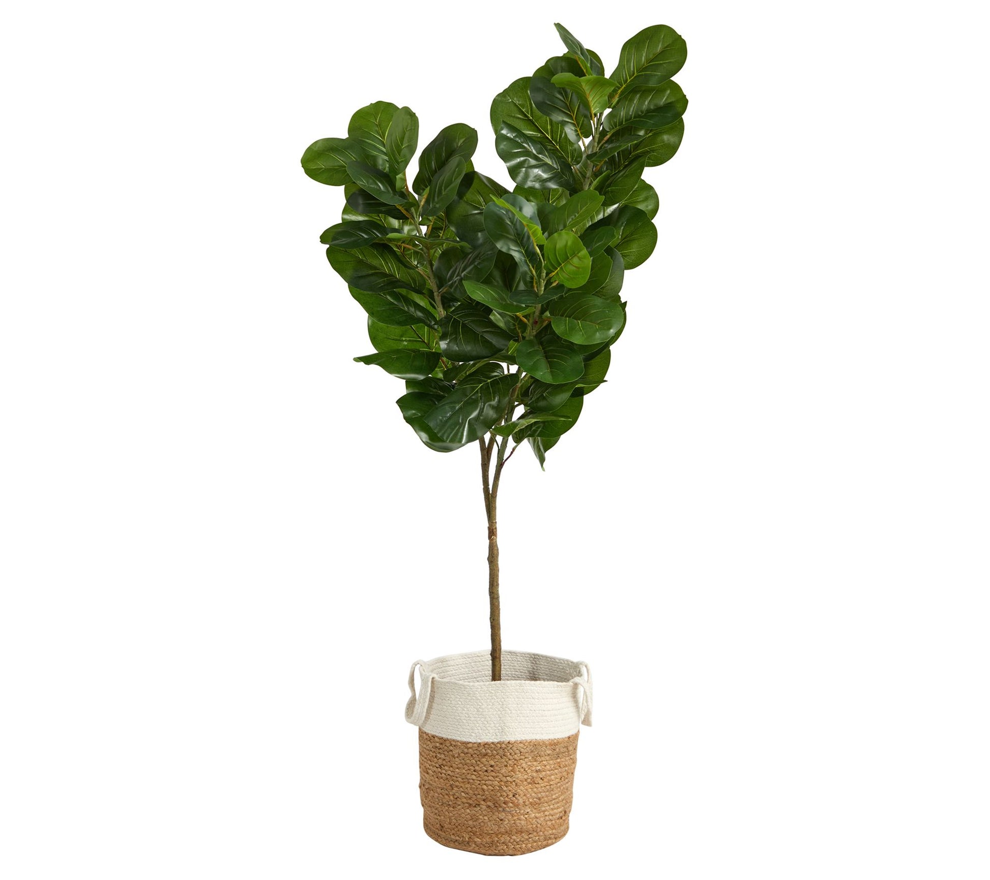 6' Fiddle Leaf Fig Jute/Cotton Planter by Nearl y Natural