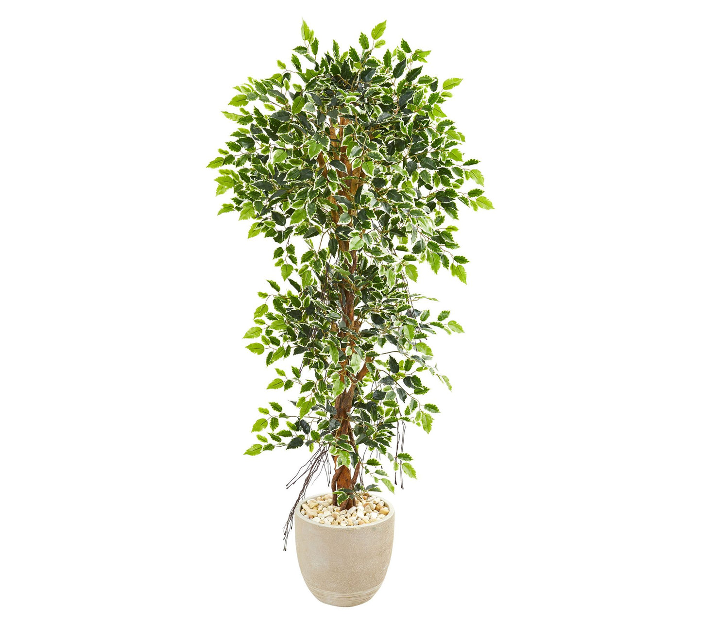 63in.  Elegant Ficus Artificial Tree in Sandstone Planter