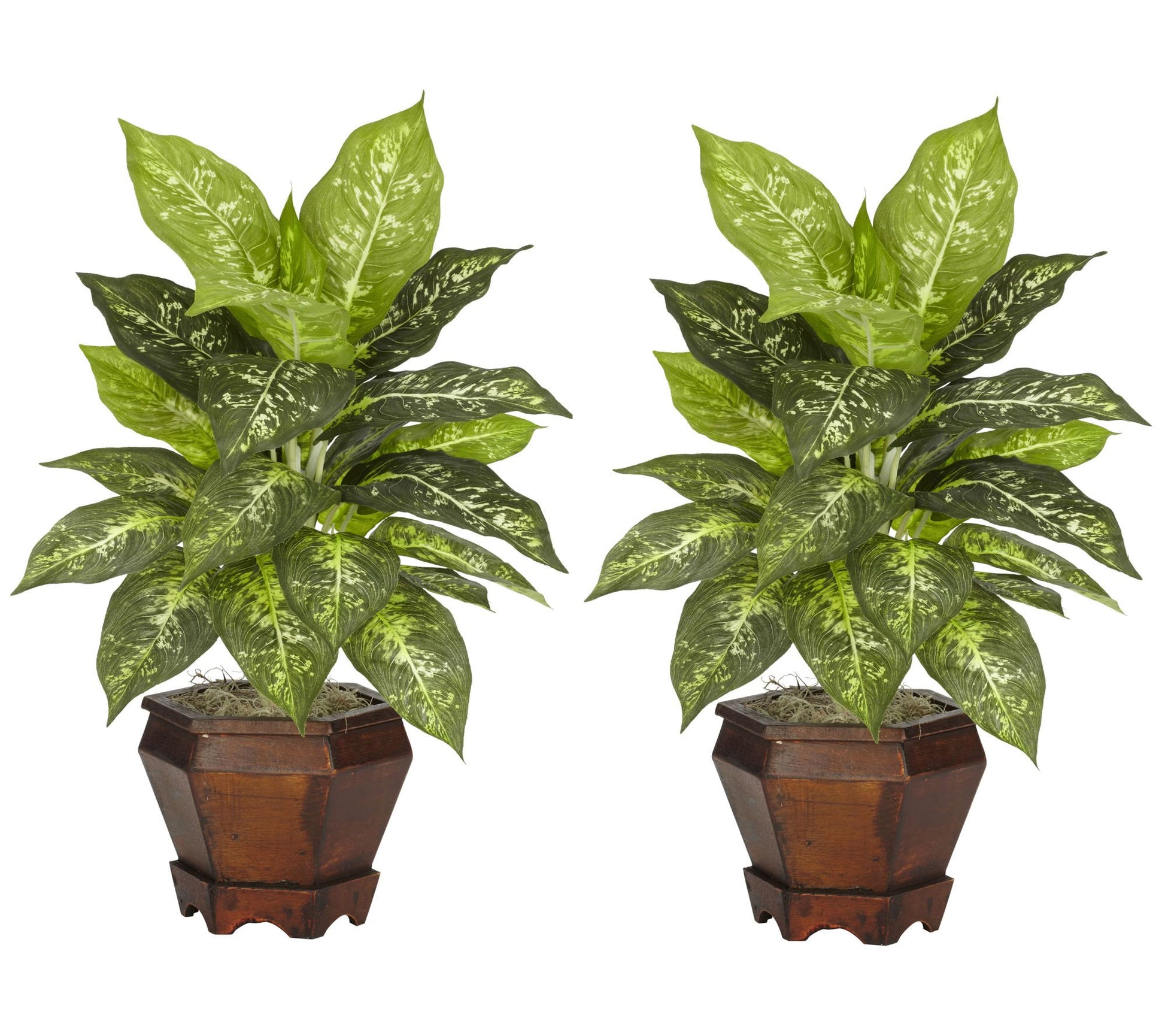 Dieffenbachia w/Wood Vase Silk Plant (Set of 2) Varieagated