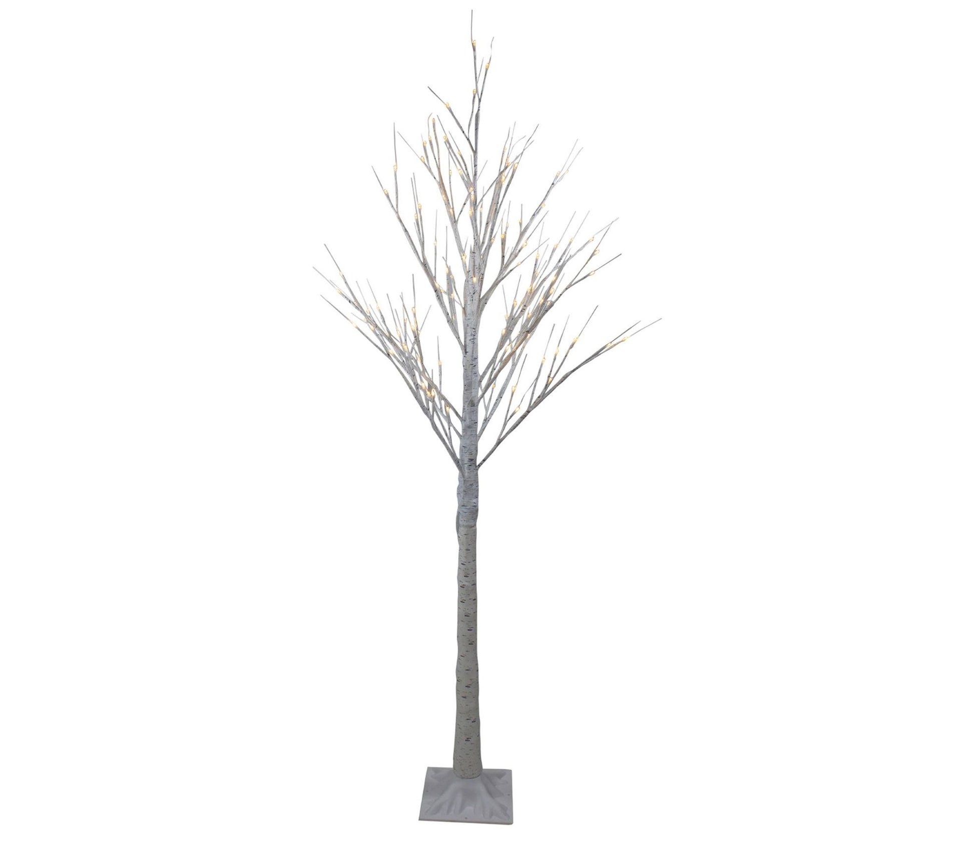 Northlight 6' White Birch Twig Tree Decor - Warm White Lights