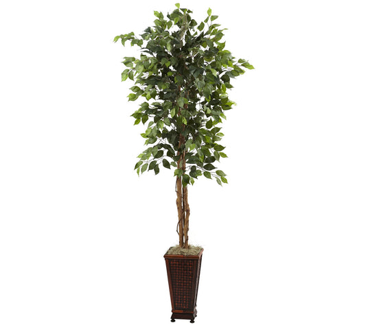 6-1/2' Ficus with Decorative Planter by NearlyNatural