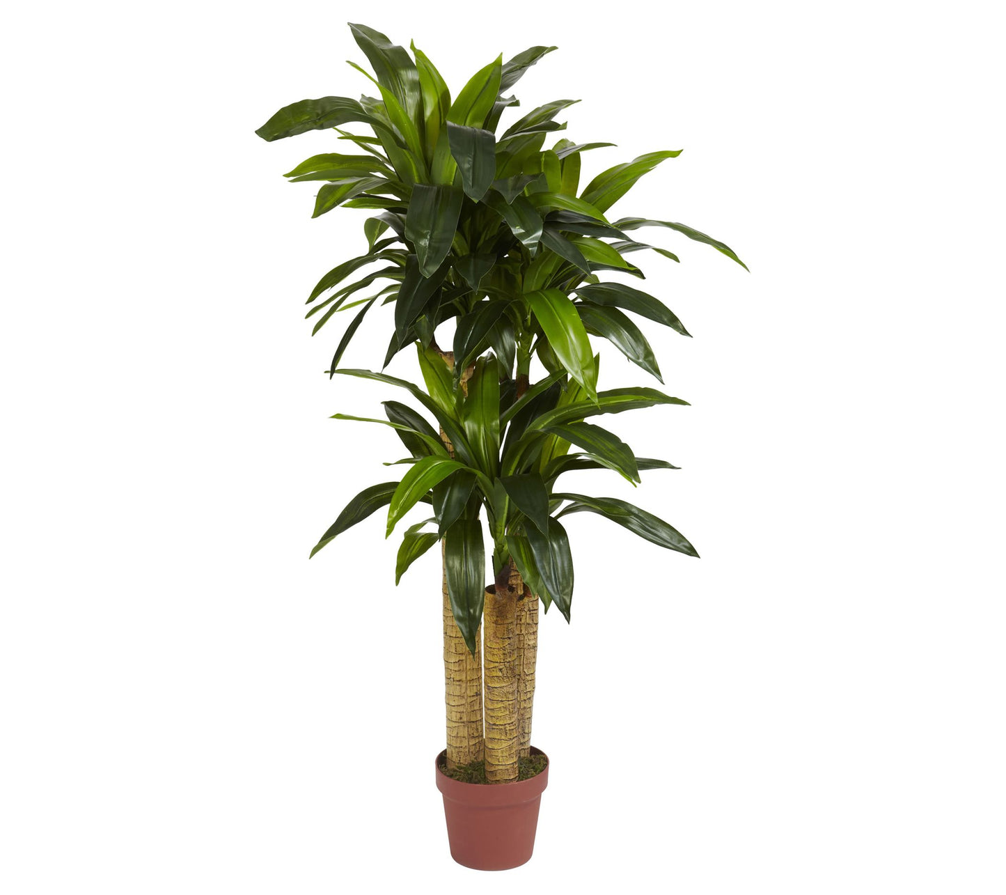 4' Corn Stalk Dracaena Silk Plant by Nearly Natural