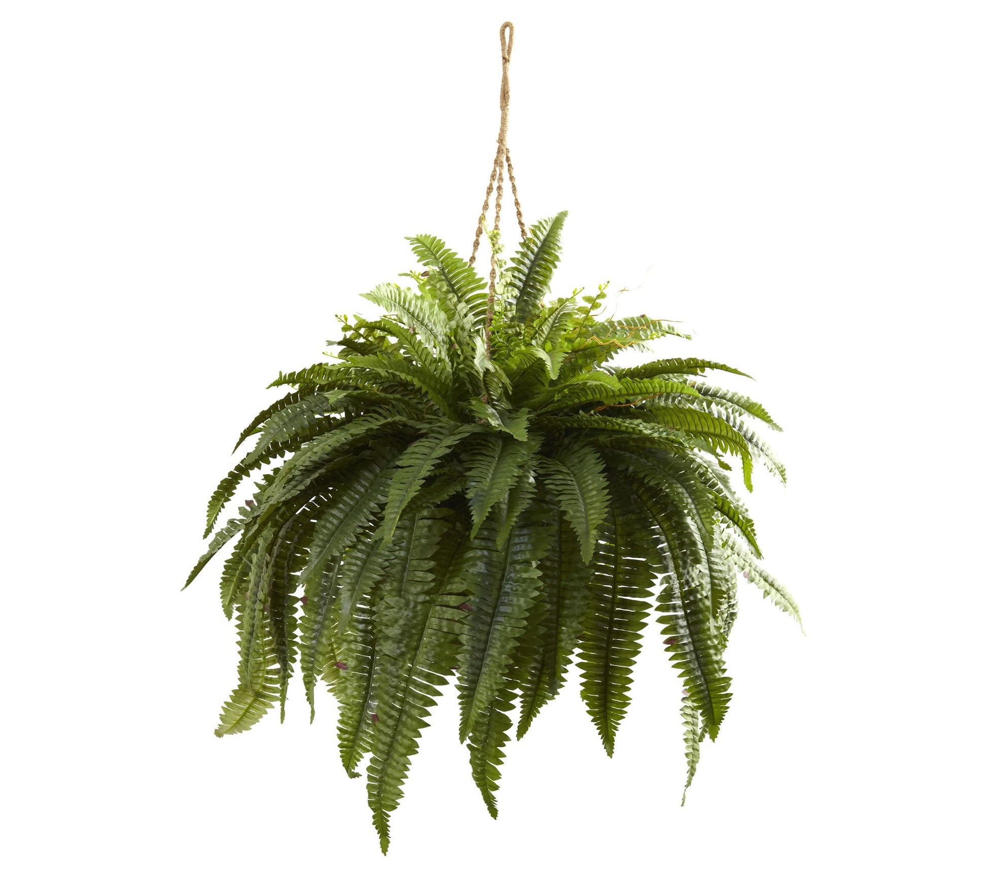Double Giant Boston Fern Hanging Basket by Nearly Natural