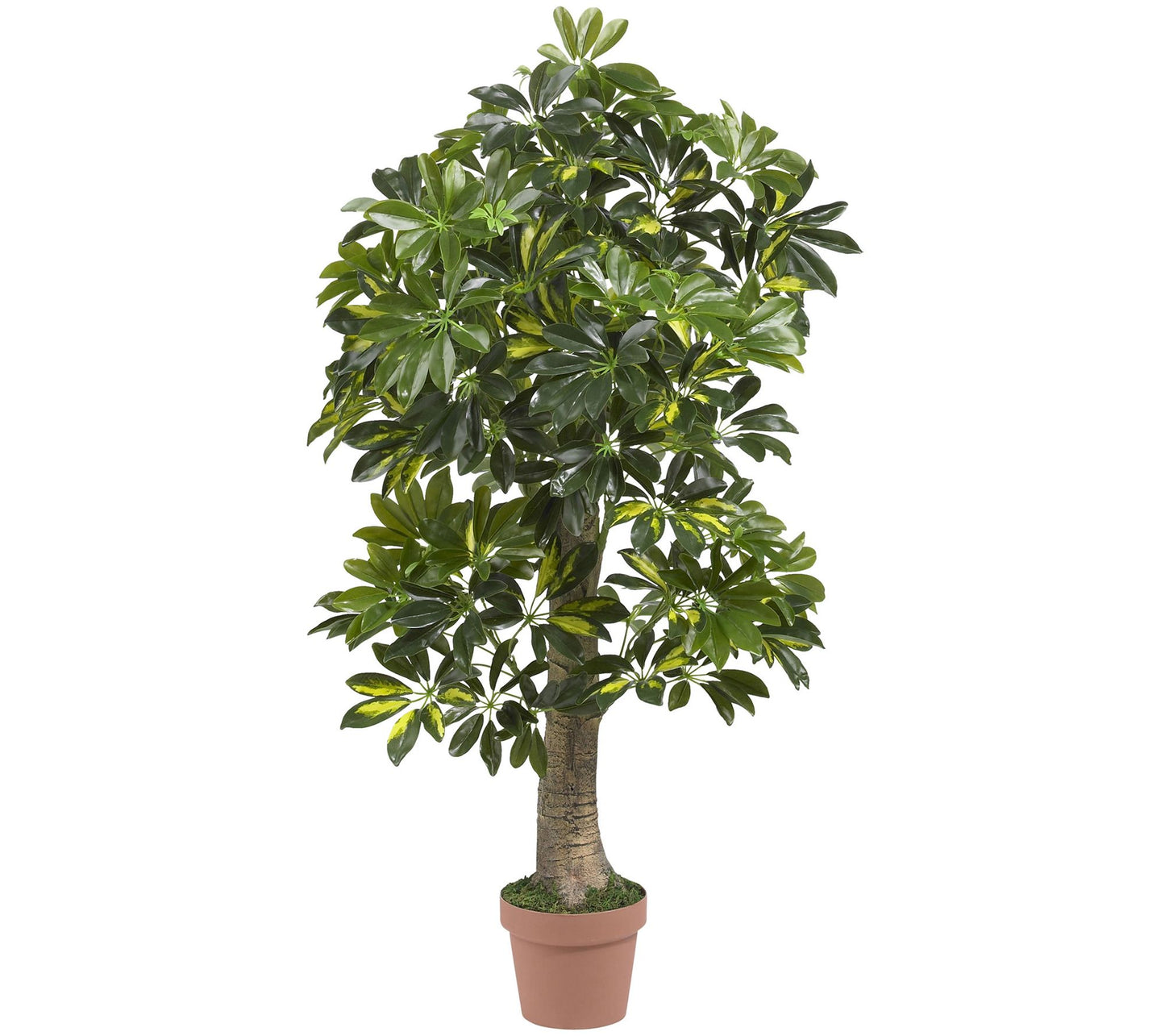 4' Real Touch Schefflera Tree by Nearly Natural