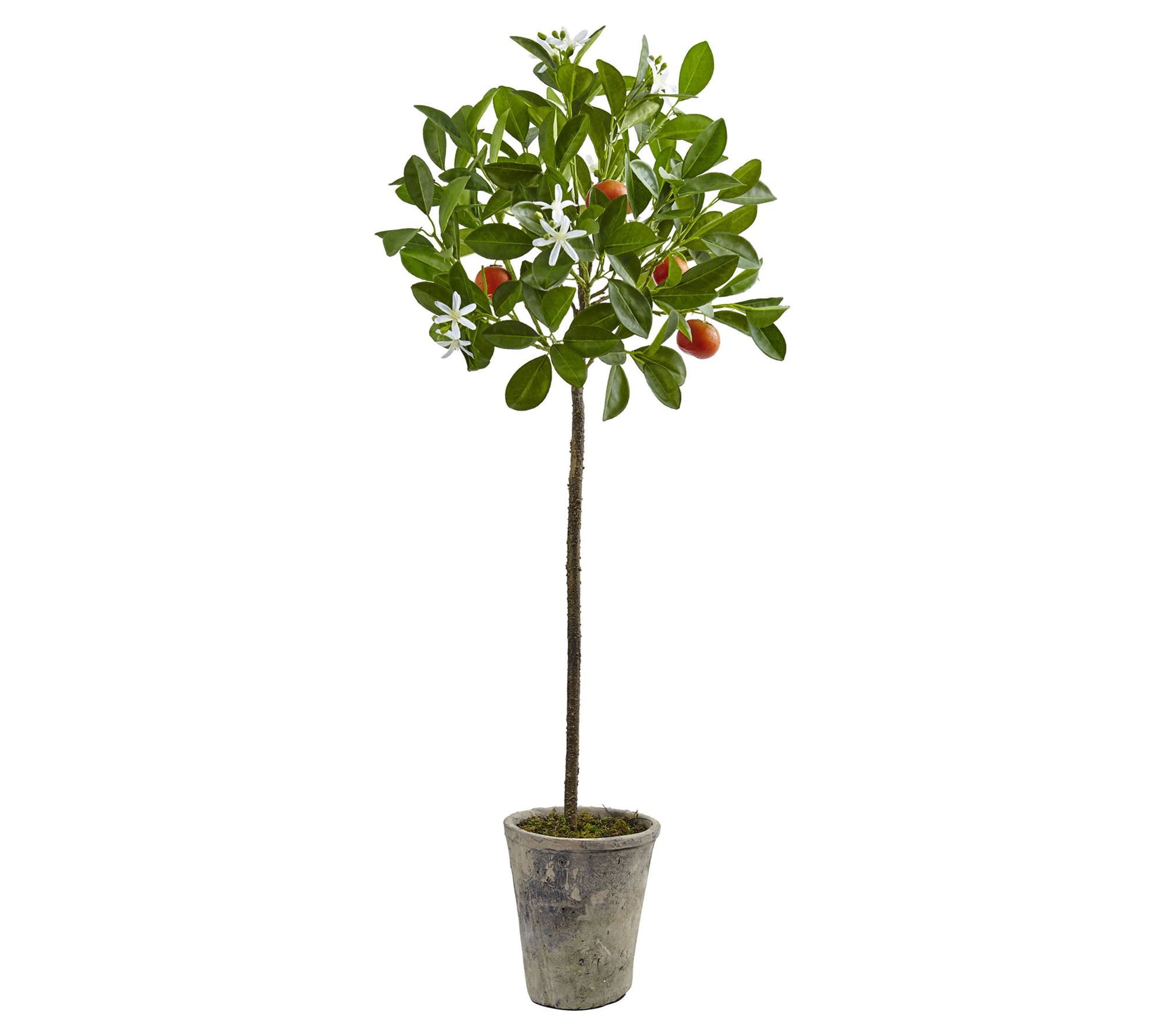 38" Potted Orange Tree by Nearly Natural