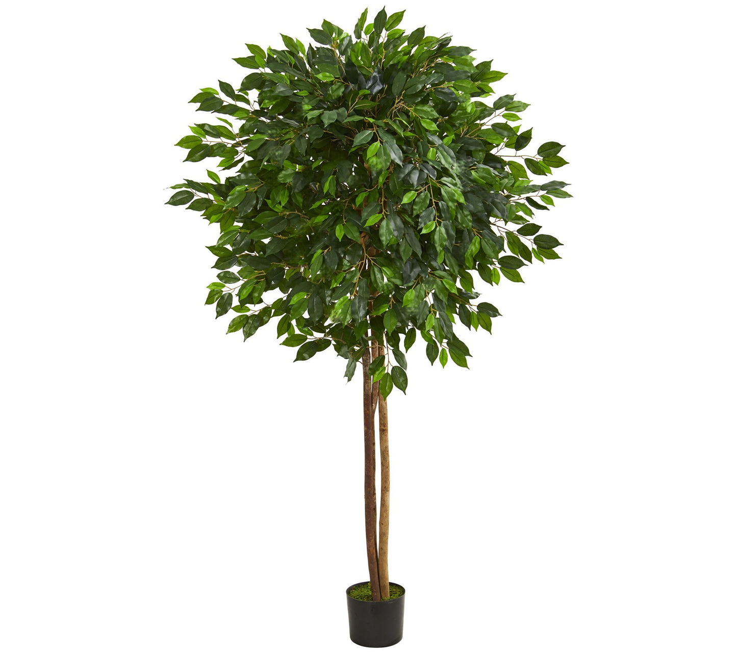 6.5' Ficus Artificial Tree by Nearly Natural