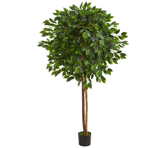 6.5' Ficus Artificial Tree by Nearly Natural