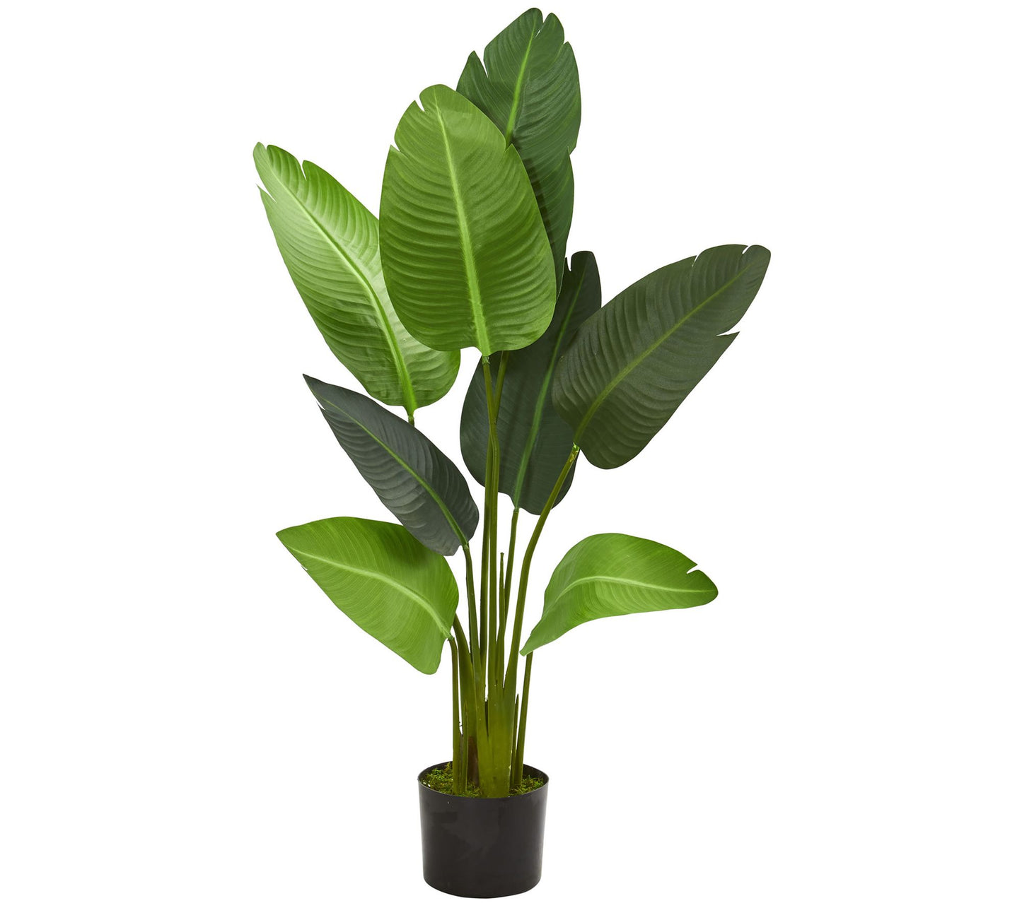 4' Travelers Palm Artificial Tree by Nearly Natural