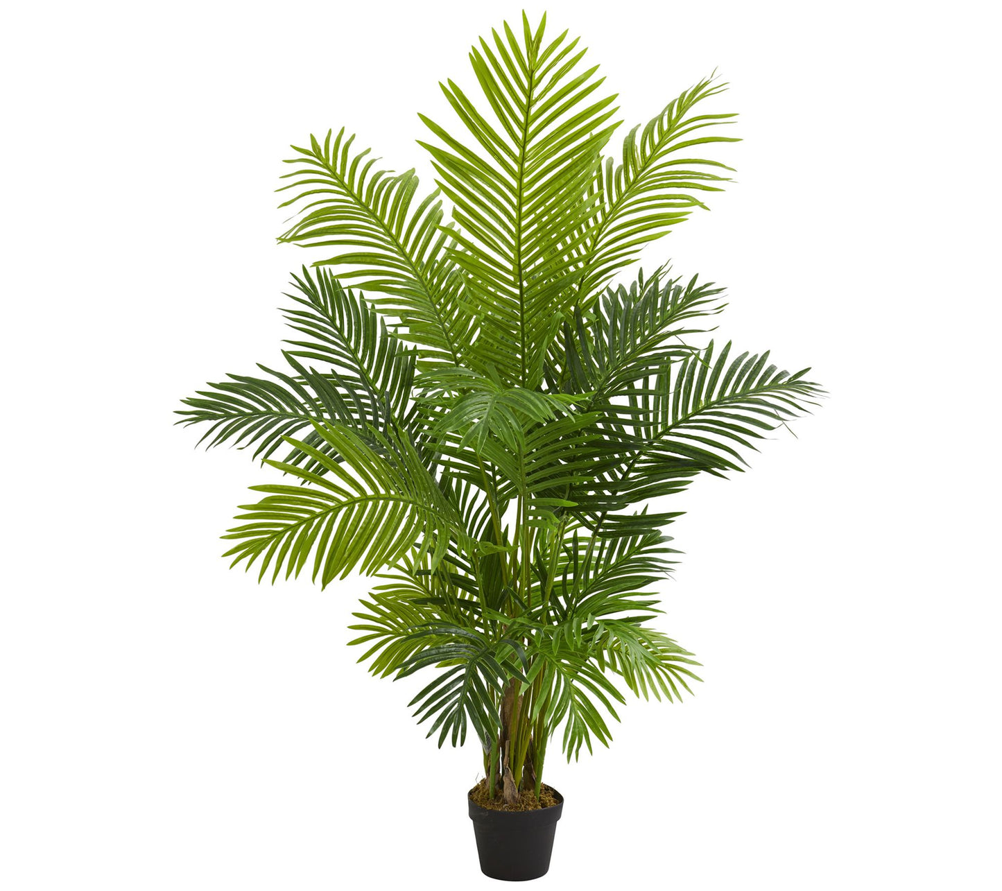 5' Hawaii Palm Artificial Tree by Nearly Natural