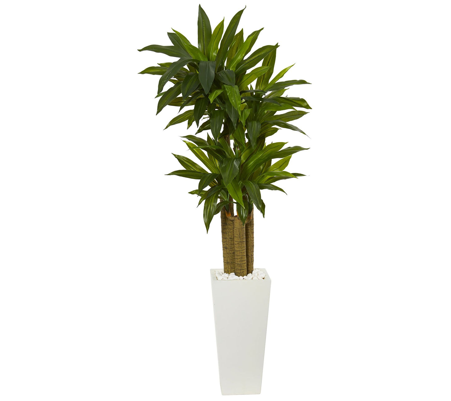 5' Cornstalk Dracaena Plant in Planter by Nearly Natural