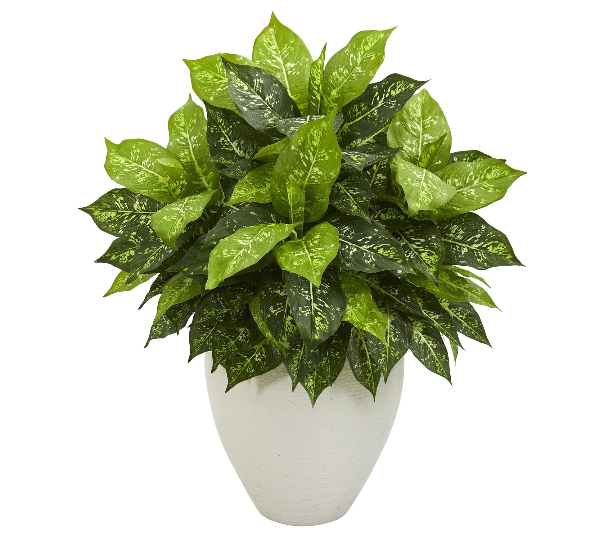 Dieffenbachia Artificial Plant in Planter by Nearly Natural