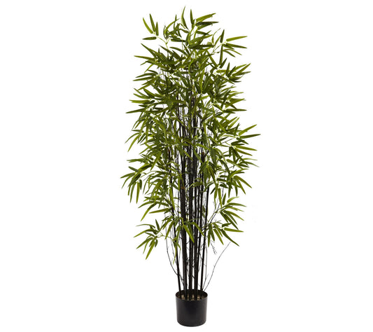 5' Black Bamboo Tree by Nearly Natural