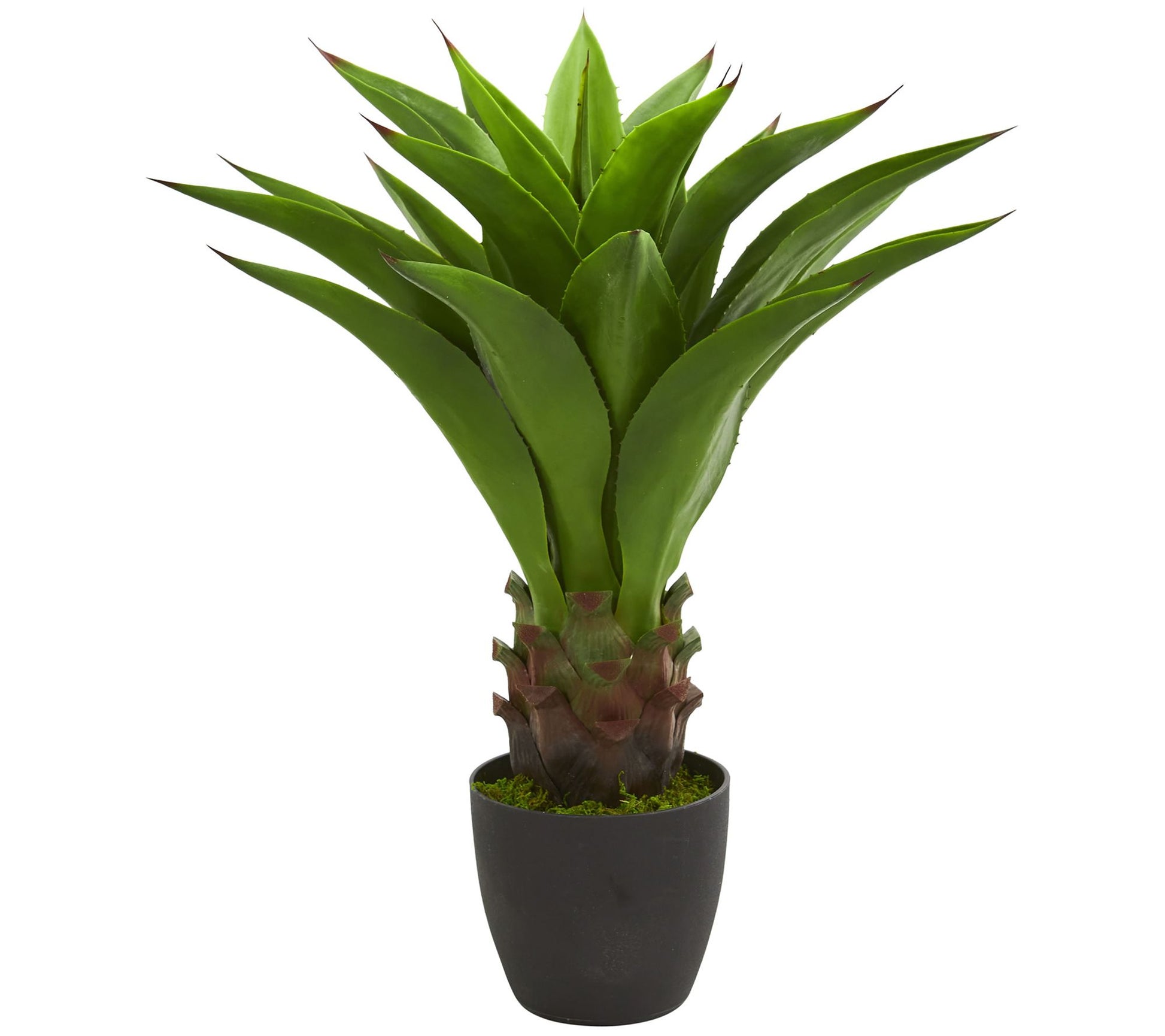 30" Agave Artificial Plant by Nearly Natural