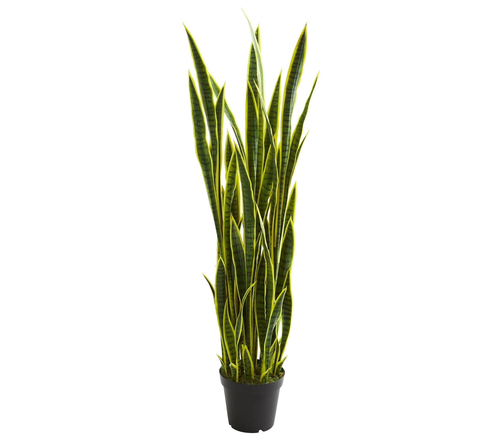 5' Sansevieria Artificial Plant by Nearly Natural