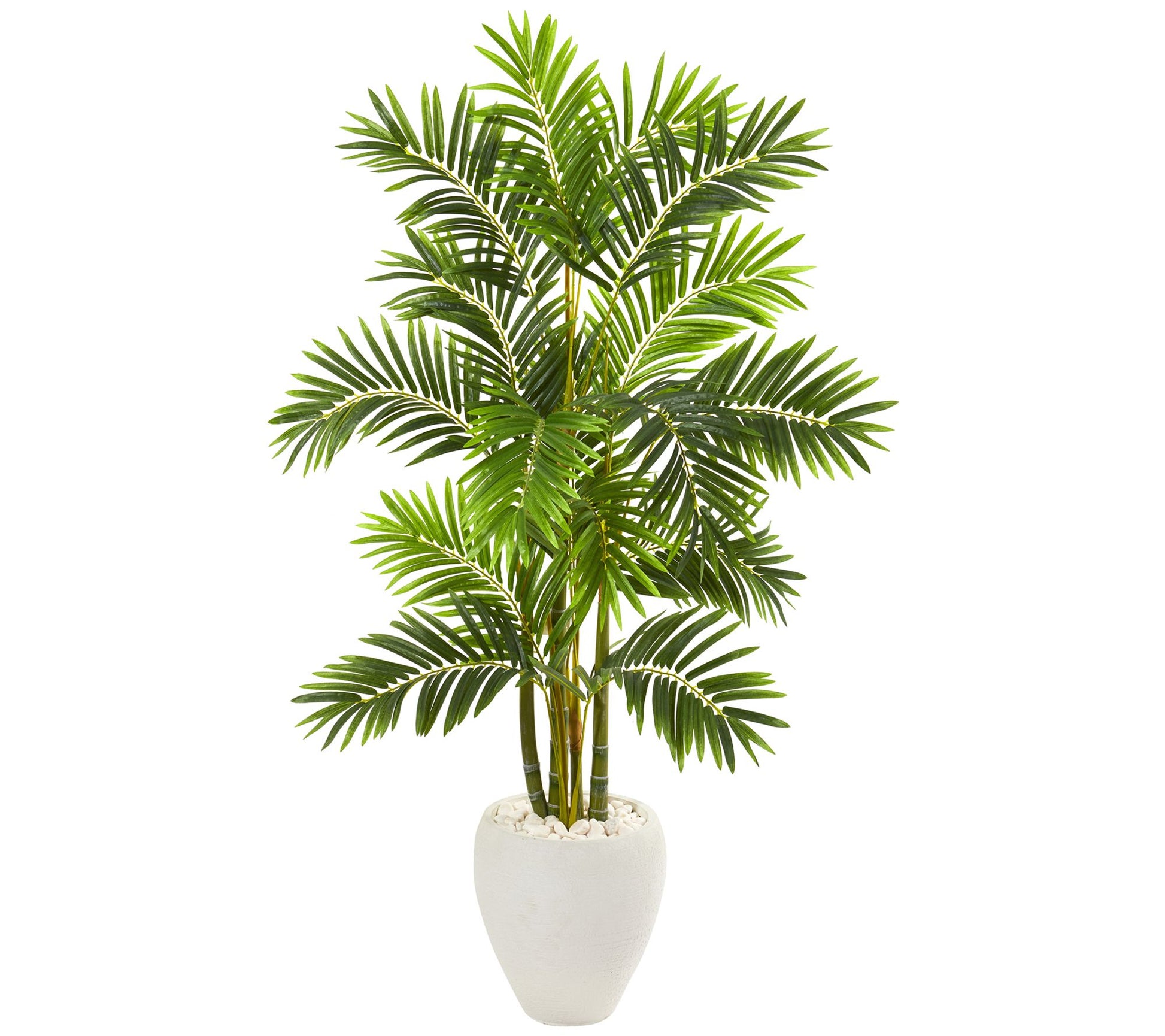 63" Areca Palm Tree in White Planter by NearlyNatural