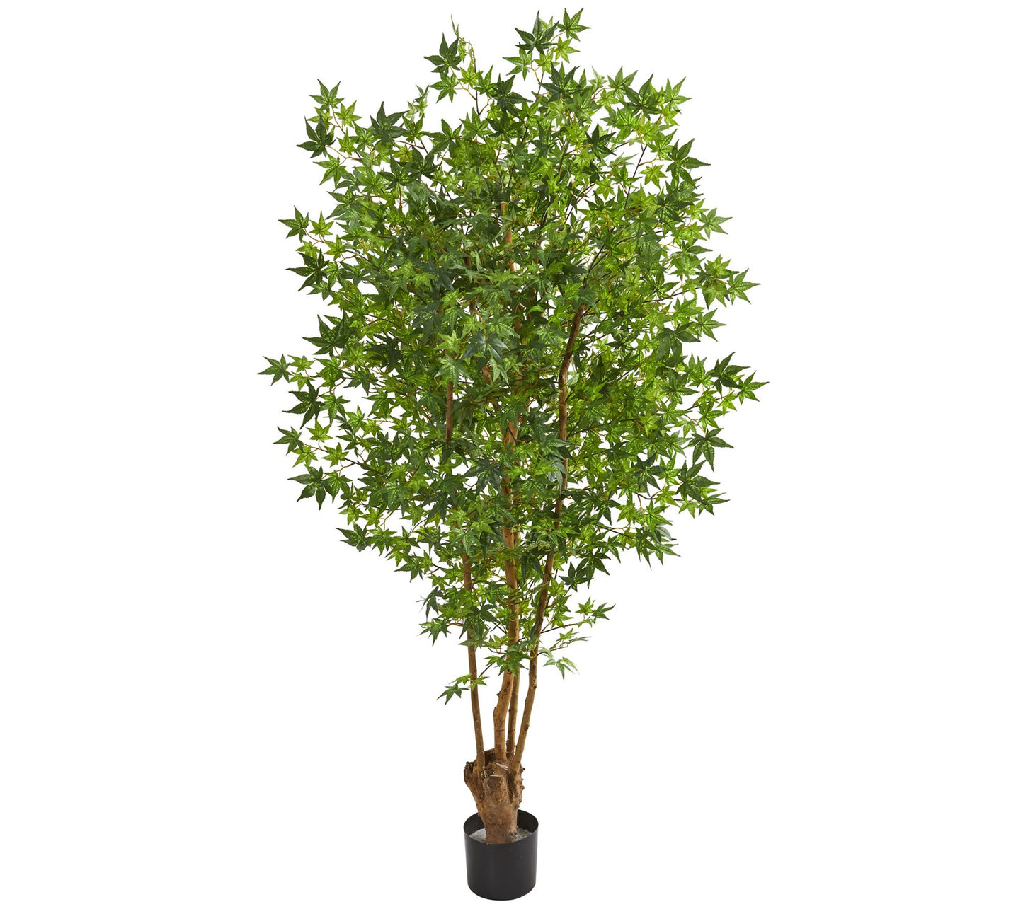 6' Maple Artificial Tree by Nearly Natural