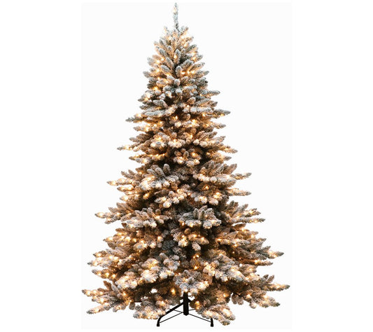 6.5' Royal Majestic Spruce Green Tree Flocked 500 Clear Light