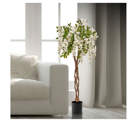 48" Potted Flowering  Wisteria Tree by Valerie